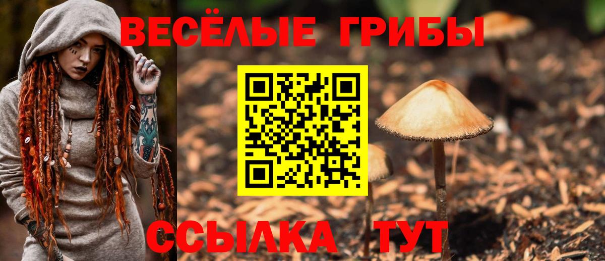 Крымск  Псилоцибиновые грибы ЛСД  Вход с VPN 