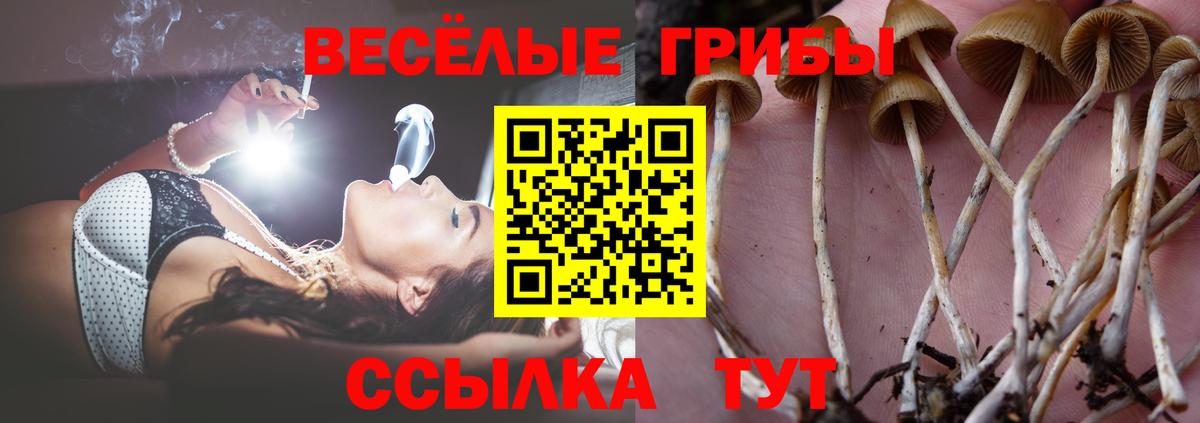 A-PVP Крымск